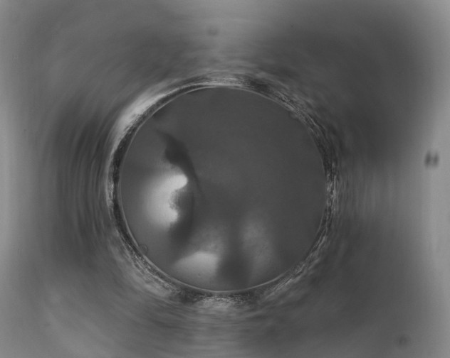 X0000112200294200908141440