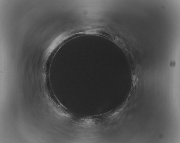 X0000112200295200908141440