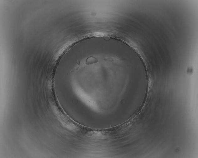 X0000112200297200908141440