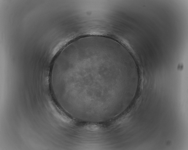 X0000112200299200908141440