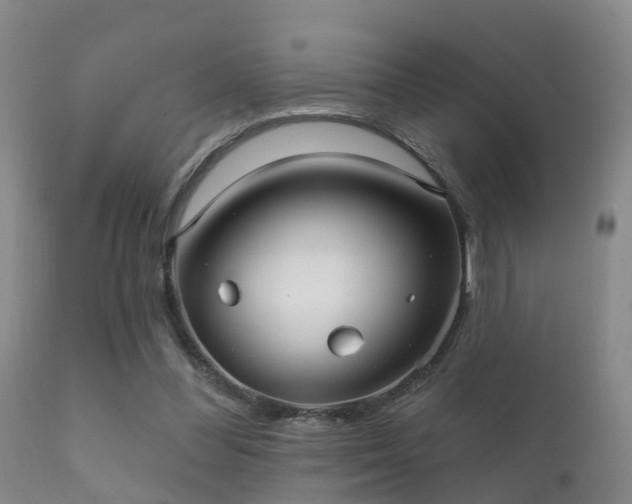 X0000112200300200908141440