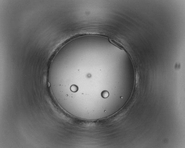 X0000112200301200908141440