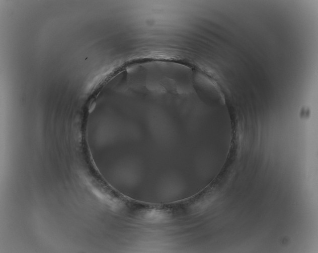 X0000112200303200908141440