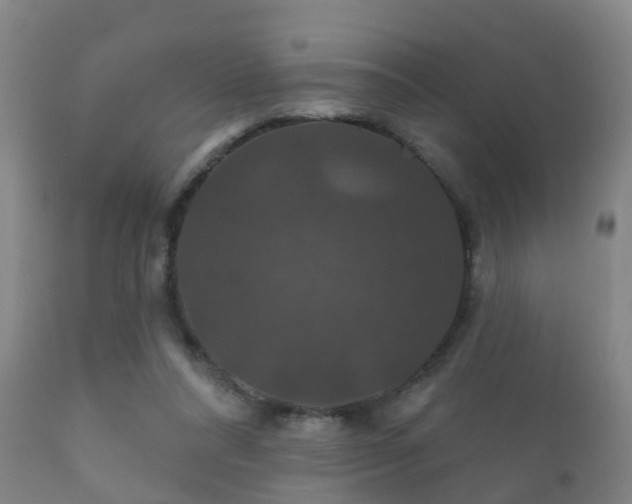 X0000112200304200908141440