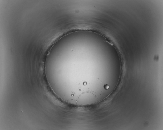 X0000112200305200908141440