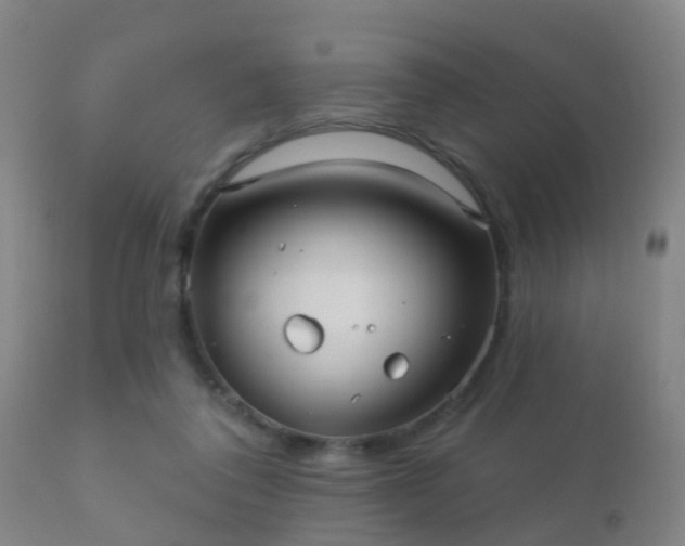 X0000112200308200908141440