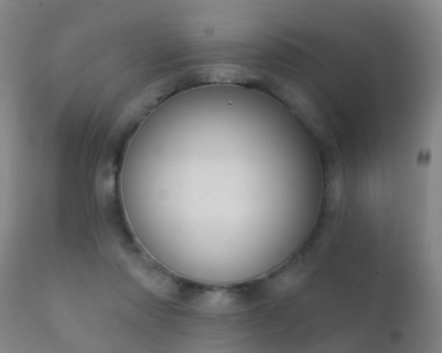 X0000112200310200908141440