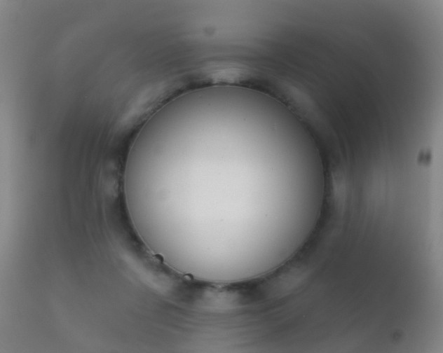 X0000112200311200908141440