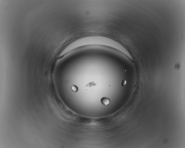 X0000112200312200908141440