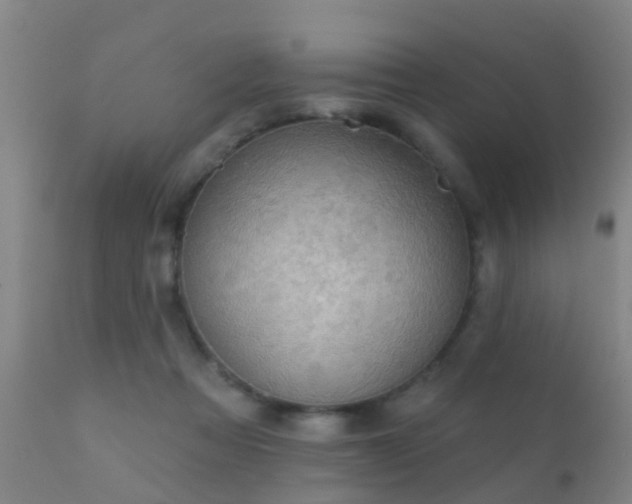 X0000112200313200908141440