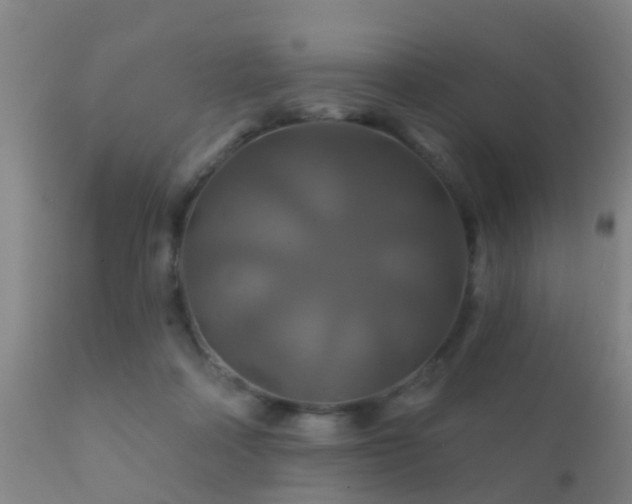 X0000112200314200908141440