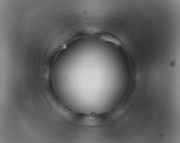 X0000112200315200908141440