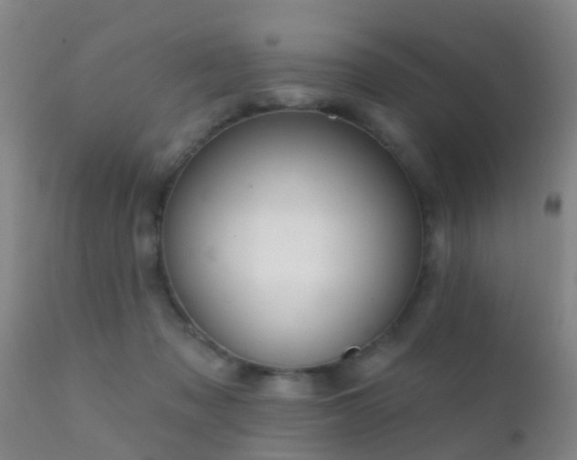 X0000112200317200908141440