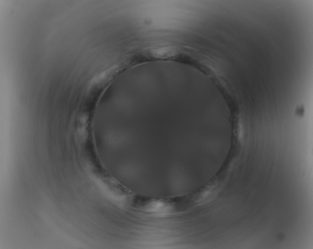 X0000112200319200908141440