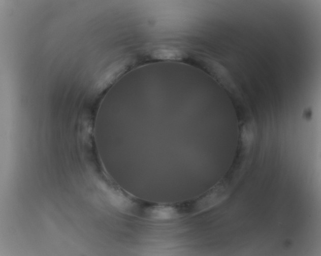 X0000112200322200908141439