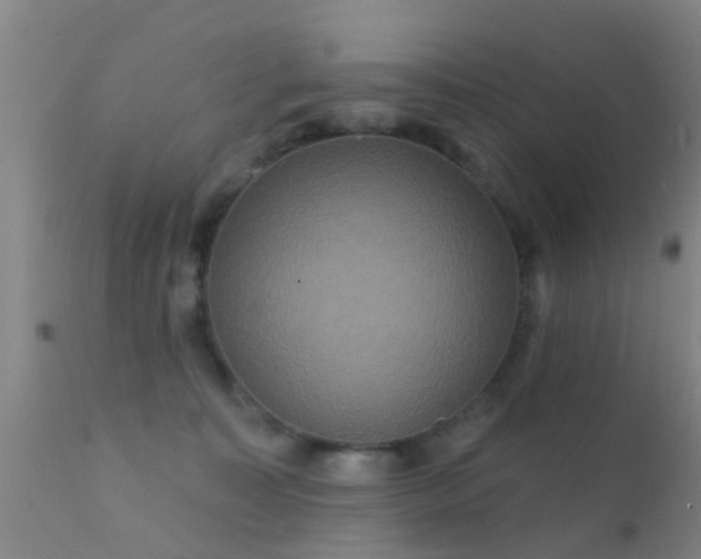 X0000112200323200908141439