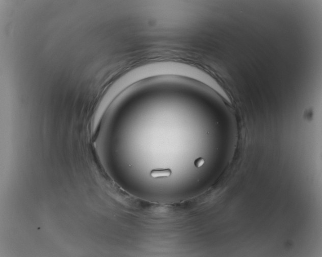 X0000112200325200908141439