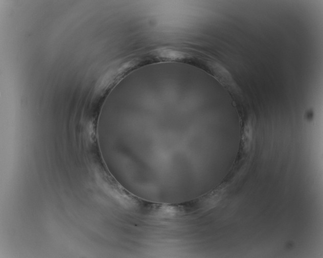 X0000112200330200908141439