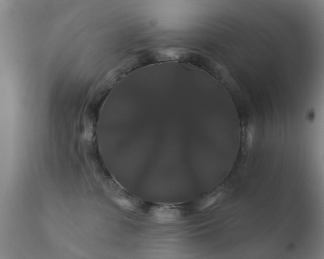 X0000112200331200908141439