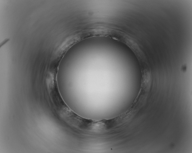 X0000112200333200908141439