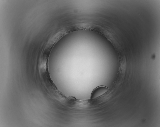 X0000112200334200908141439