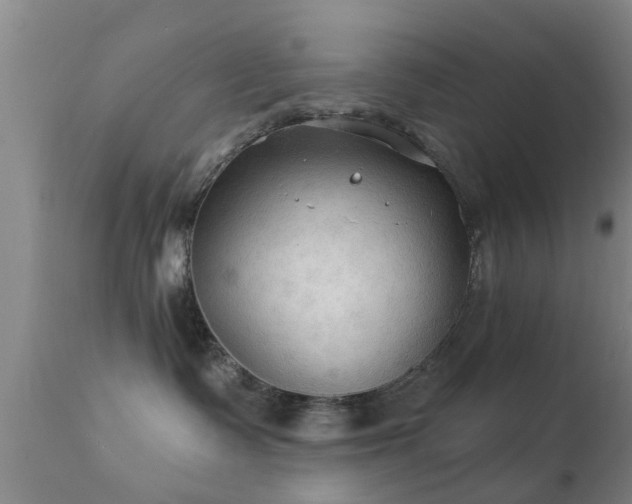 X0000112200335200908141439