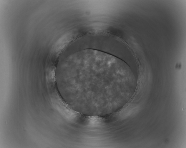 X0000112200336200908141439