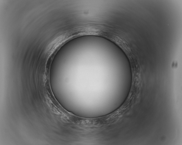 X0000112200338200908141438