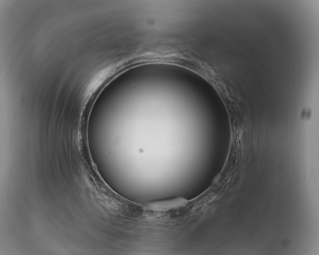 X0000112200340200908141438