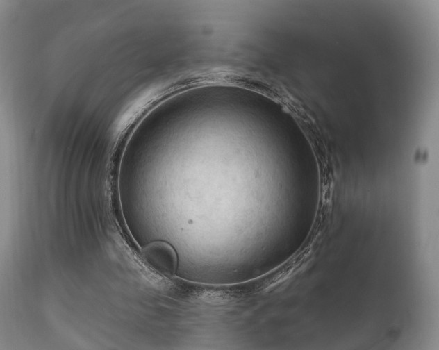 X0000112200341200908141439