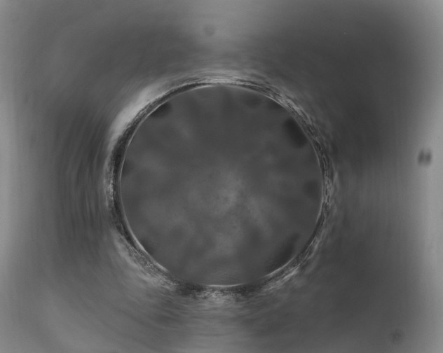 X0000112200343200908141439