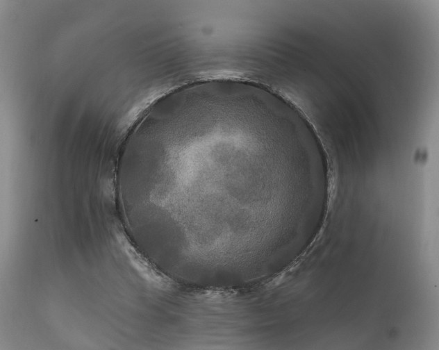 X0000112200345200908141439