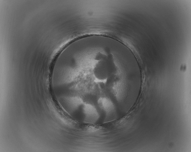 X0000112200346200908141439