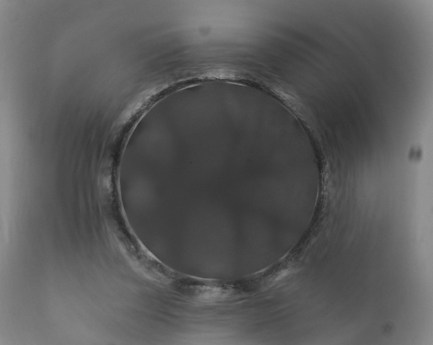 X0000112200347200908141439