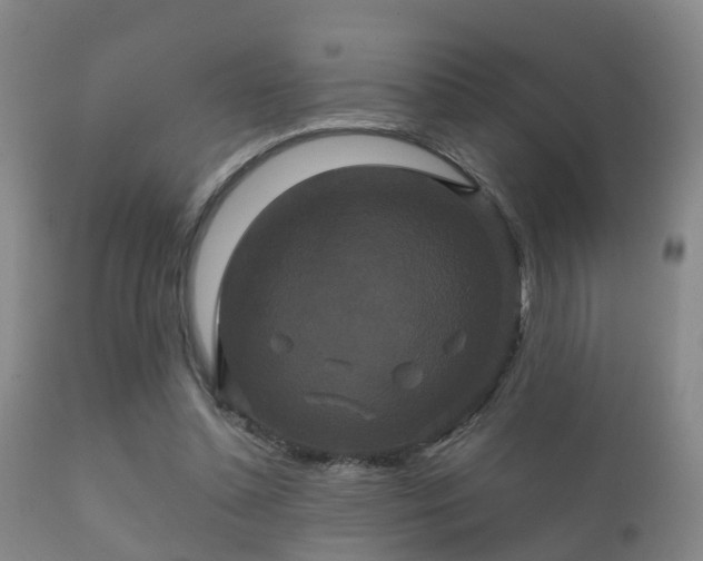 X0000112200348200908141439