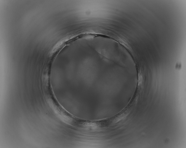 X0000112200349200908141439