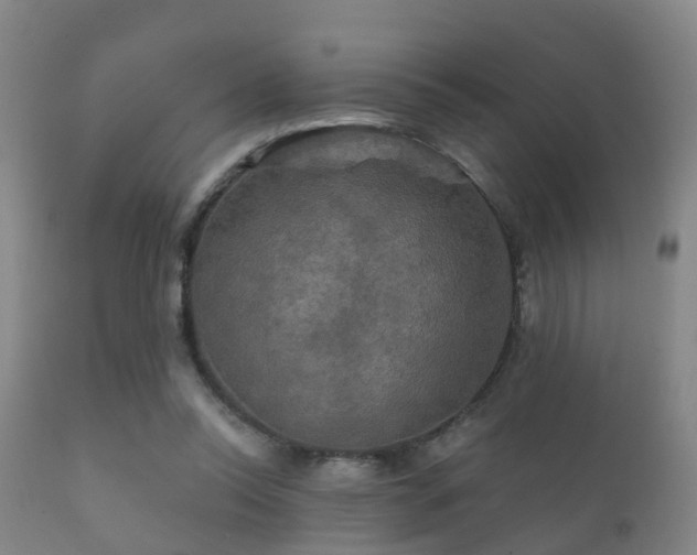 X0000112200350200908141439