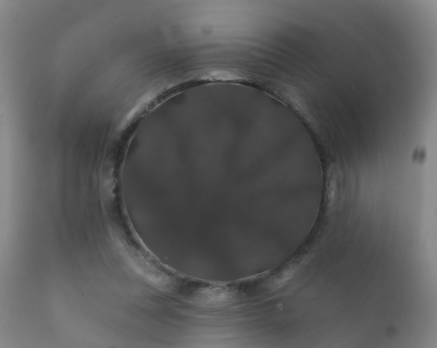 X0000112200351200908141439