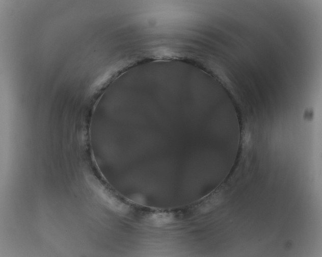 X0000112200353200908141439