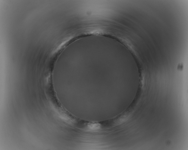 X0000112200355200908141439