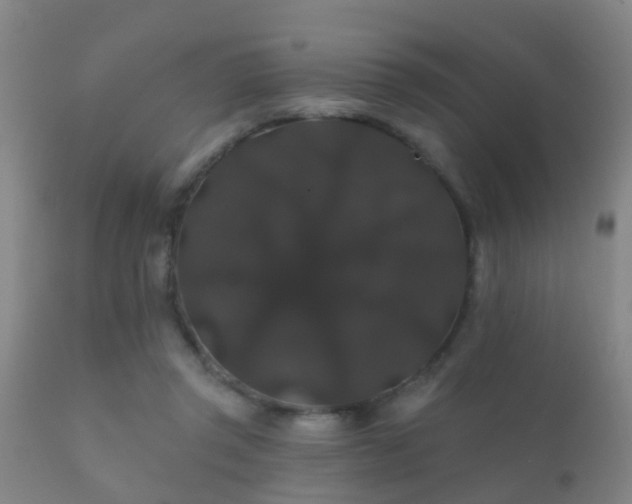 X0000112200357200908141439