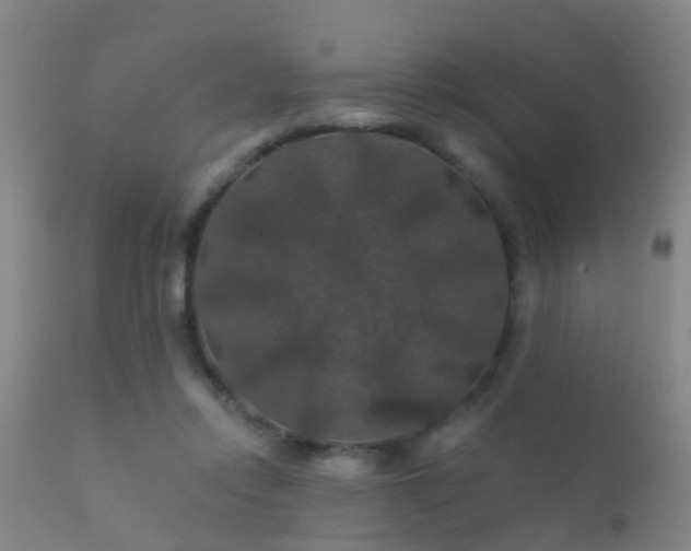 X0000112200358200908141439