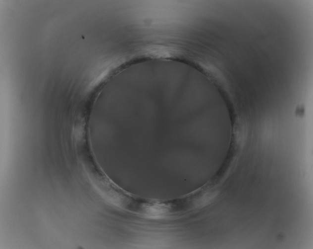 X0000112200359200908141439