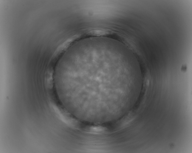 X0000112200360200908141439