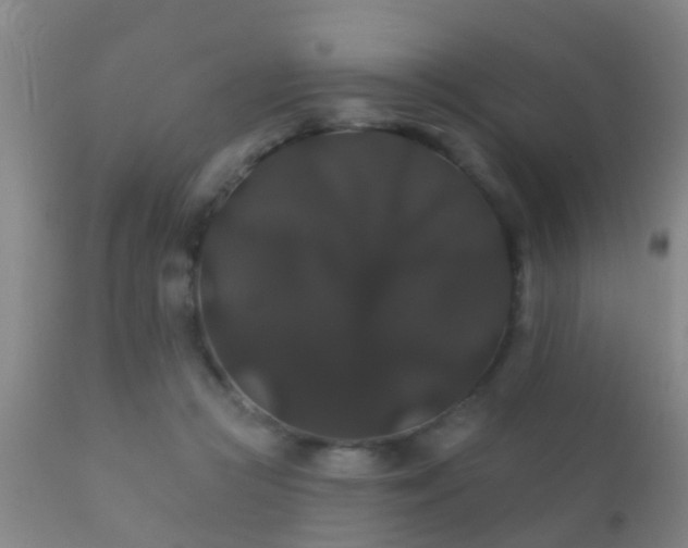 X0000112200361200908141439