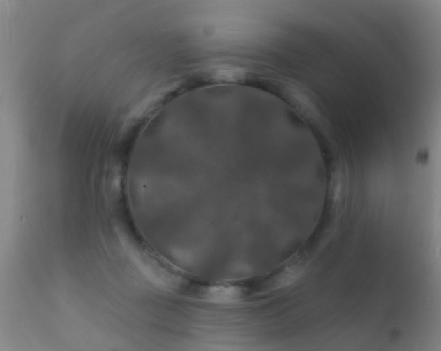 X0000112200363200908141439