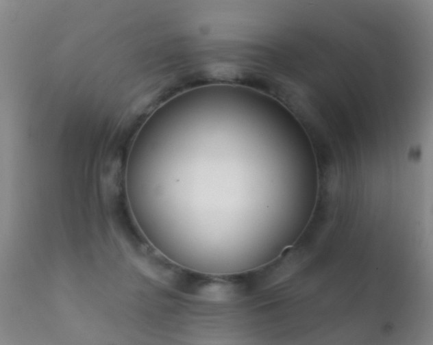 X0000112200364200908141439