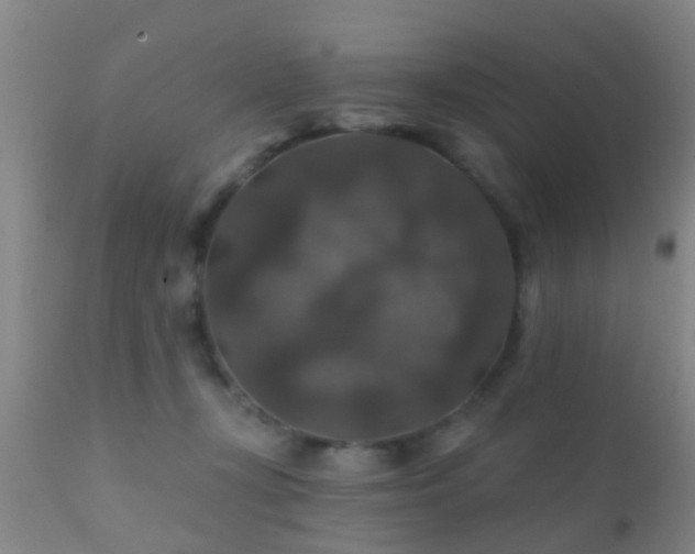 X0000112200367200908141439