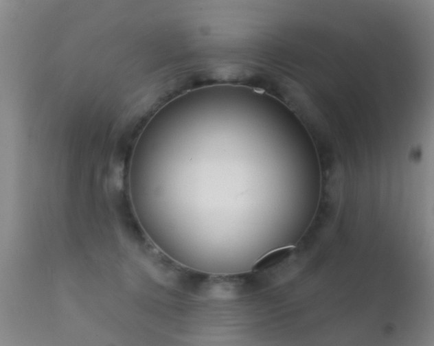 X0000112200368200908141439