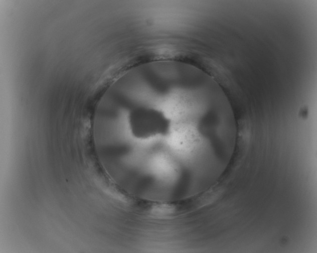 X0000112200369200908141439